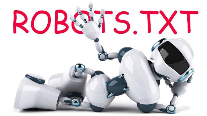 Что такое robots.txt и зачем он нужен в Нижнем Тагиле